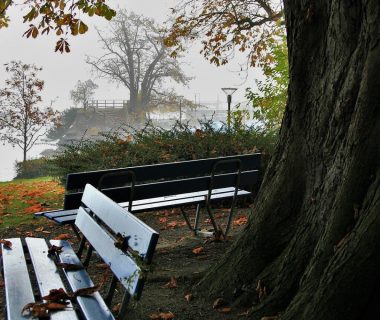 Comment aménager un espace public pour créer un espace accueillant et agréable ?