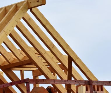 Quels sont les avantages d'un bâtiment en structure bois ?