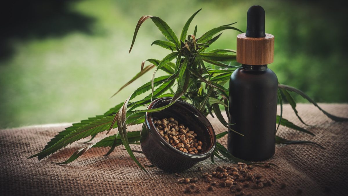 Adoptez la tendance du moment : la fleur de CBD