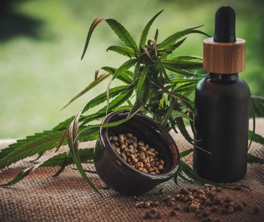 Adoptez la tendance du moment : la fleur de CBD