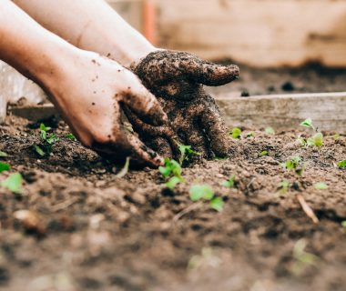 Le plaisir de s'adonner au jardinage